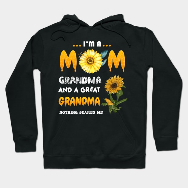 I'm A Mom Grandma Great Nothing Scares Me Mothers Day Gifts Hoodie by Sky at night